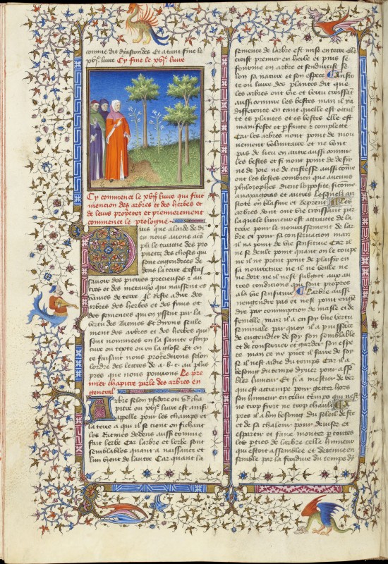 Folio 247v